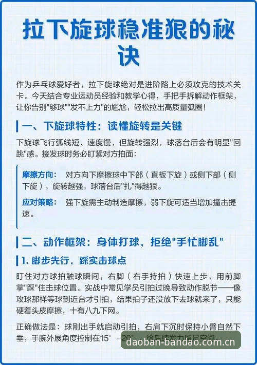 深度揭秘：半岛体育官网入口背后的高效体验与实用技巧